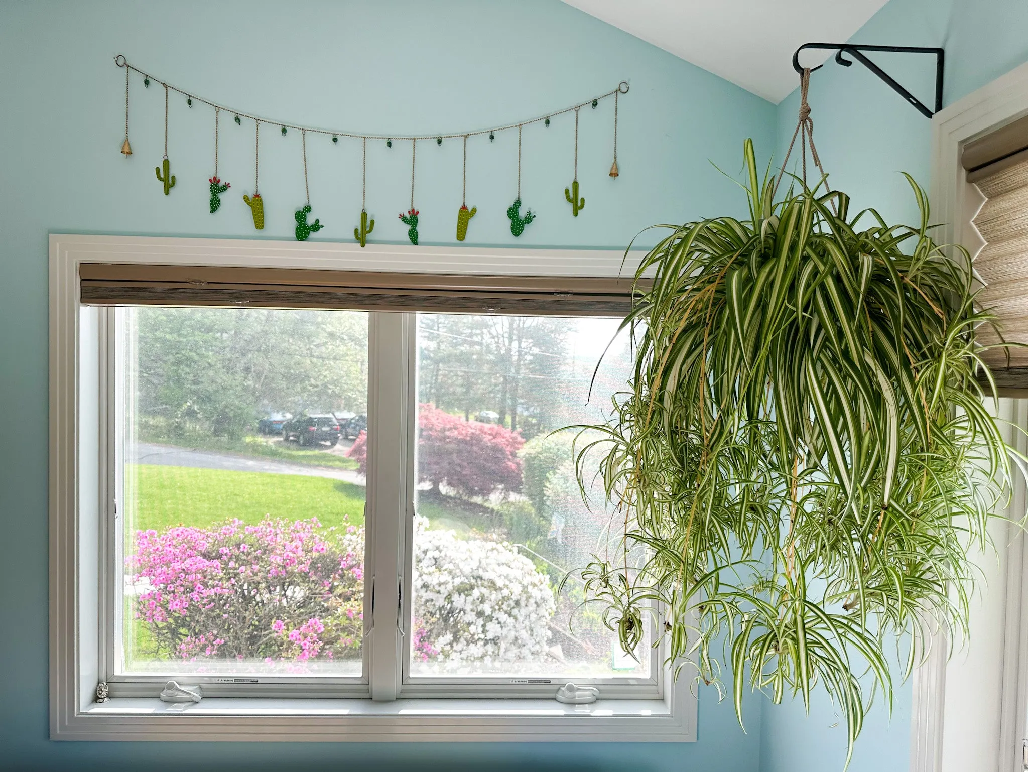 Cactus Garland