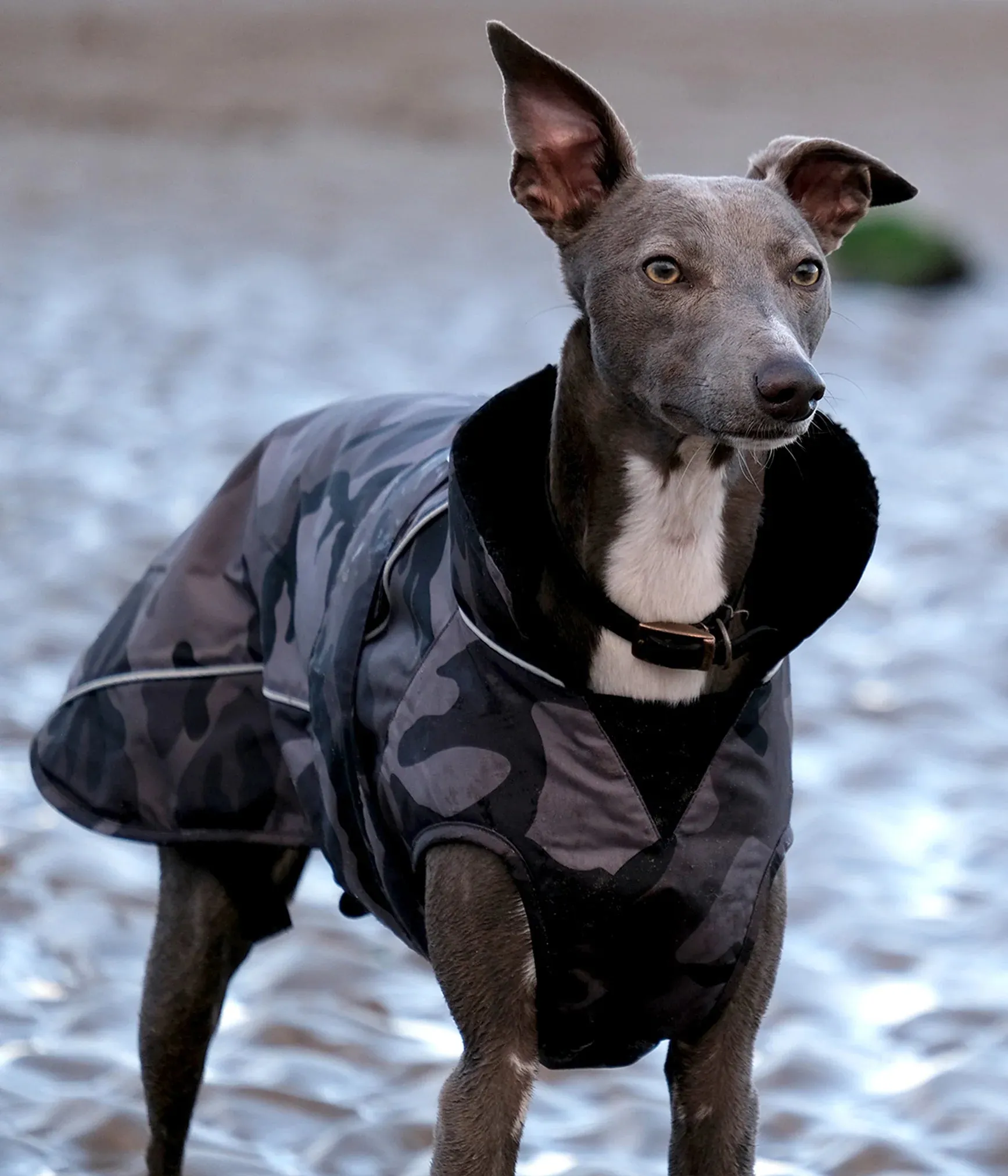 Dryrobe Dog Coat - Black Camo and Black