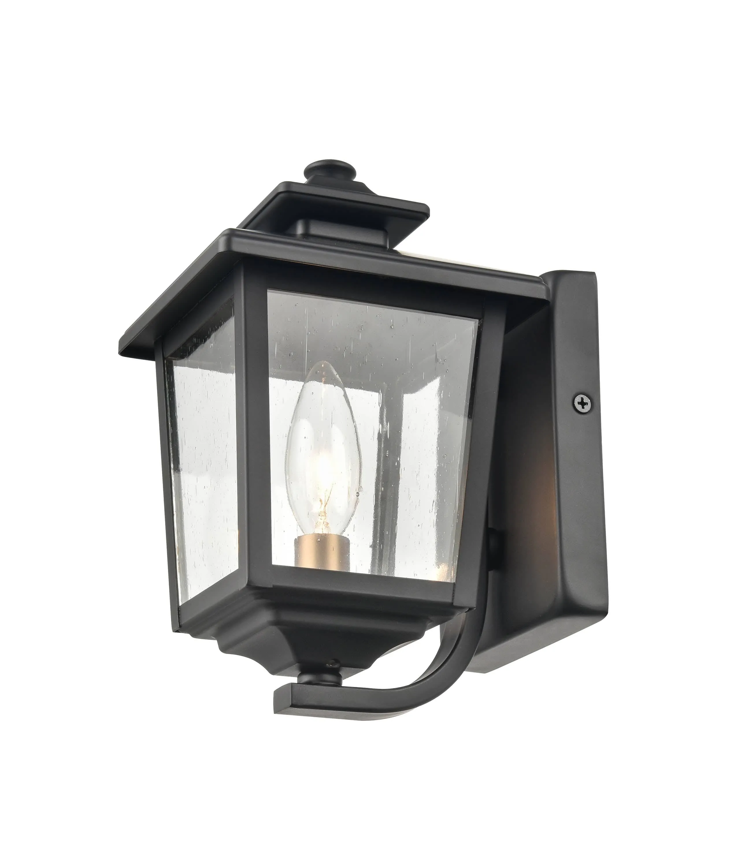 Eldrick Outdoor Wall Sconce - Powder Coat Black - Clear Seeded Glass - 6.375in. Extension - E12 Candelabra Base