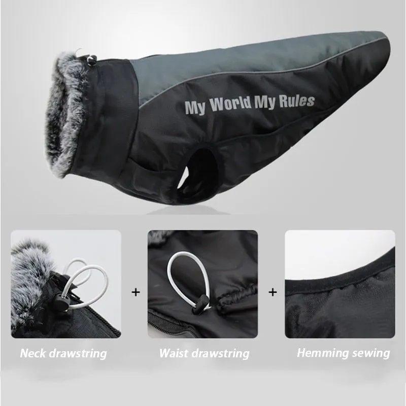 Warm & Waterproof Winter Jacket for Dogs with Built-in Harness