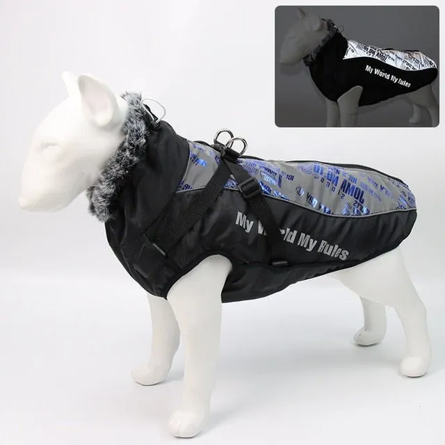 Warm & Waterproof Winter Jacket for Dogs with Built-in Harness